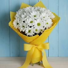 Букет цветов из:  Хризантемы в Андрее-Кургане