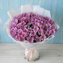 Букет цветов из:  Хризантемы в Андрее-Кургане