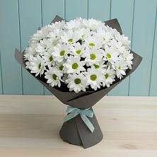 Букет цветов из:  Хризантемы в Андрее-Кургане