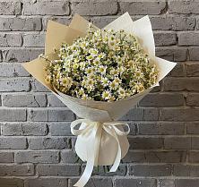 Букет цветов из:  Ромашки #REPLACE_PRED# Андрее-Кургане