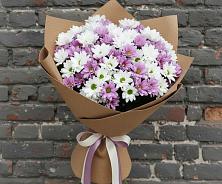 Букет цветов из:  Хризантемы в Андрее-Кургане