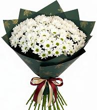 Букет цветов из:  Хризантемы в Андрее-Кургане