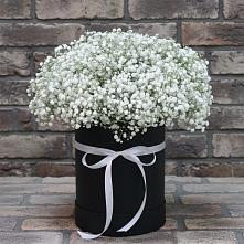 Цветочная композиция из Гипсофила в шляпной коробке в Андрее-Кургане