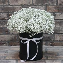 Цветочная композиция из Гипсофила в шляпной коробке в Андрее-Кургане